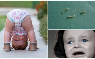 อาการและการรักษา pinworms ในเด็ก