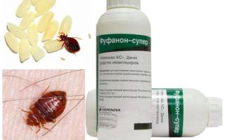 การแก้ไข Fufanon สำหรับ bedbugs