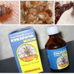 ยา Cucaracha สำหรับ Bedbugs-1
