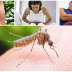 ผลกระทบของการระบาดของโรคมาลาเรียยุงกัด