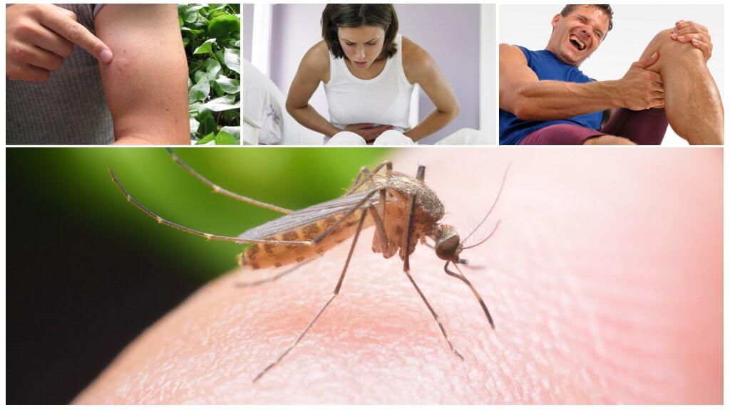 ผลกระทบของการระบาดของโรคมาลาเรียยุงกัด